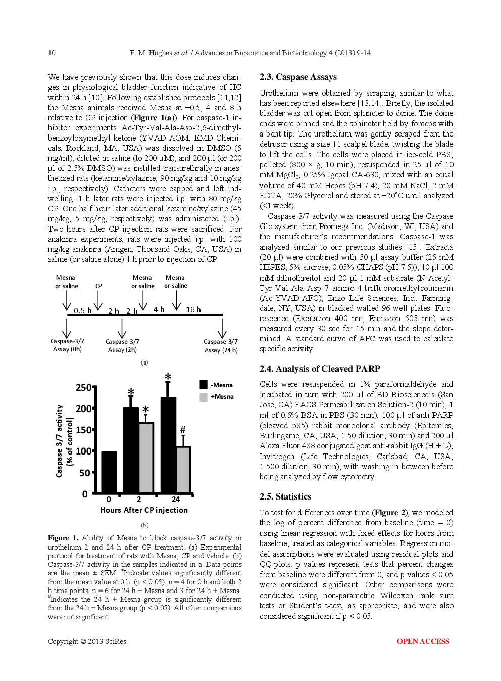 Cyclophosphamide Induces An Early Wave Of Acrolein-Independent Apoptosis In The Urothelium - Page 3