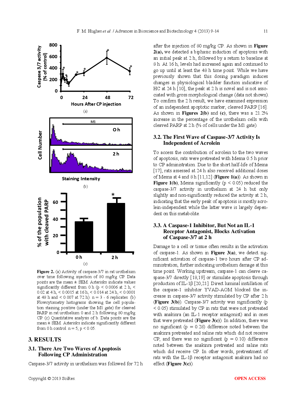 Cyclophosphamide Induces An Early Wave Of Acrolein-Independent Apoptosis In The Urothelium - Page 4