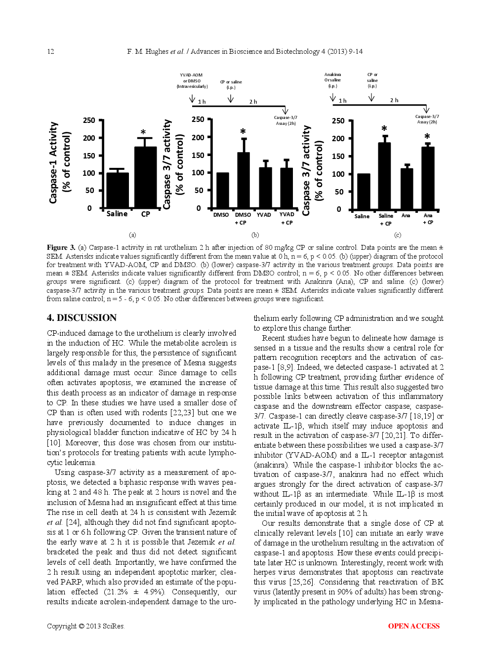 Cyclophosphamide Induces An Early Wave Of Acrolein-Independent Apoptosis In The Urothelium - Page 5