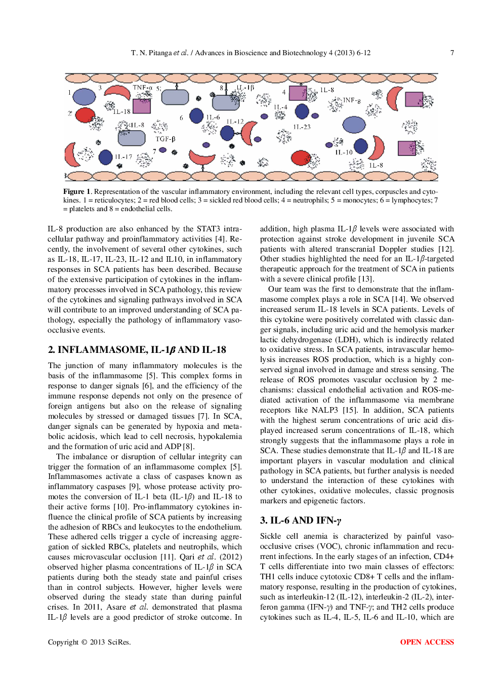 Cytokine Profiles In Sickle Cell Anemia: Pathways To Be Unraveled - Page 3