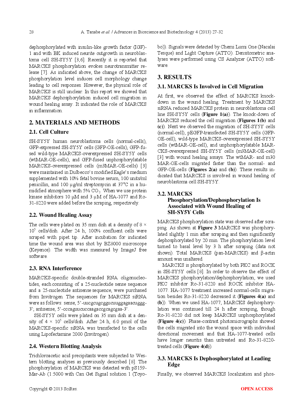 Dephosphorylation Of Myristoylated Alanine-Rich C Kinase Substrate Accelerates Wound-Induced Migration Of SH-SY5Y Cells - Page 3