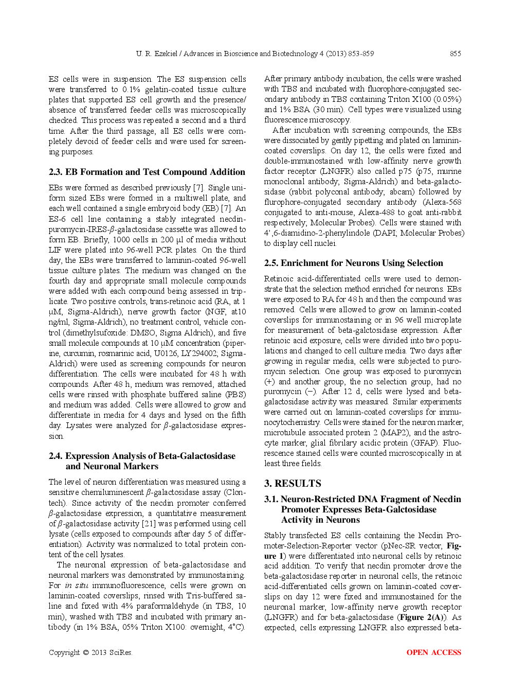 Differentiation Of Neuronal Cells Using A Murine Embryonic Stem Cell-Based Method - Page 4