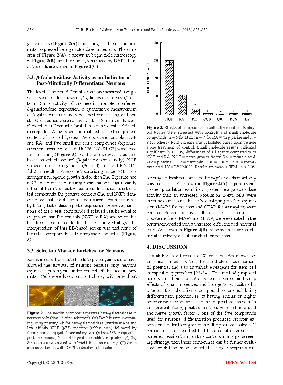Differentiation Of Neuronal Cells Using A Murine Embryonic Stem Cell-Based Method - Page 5
