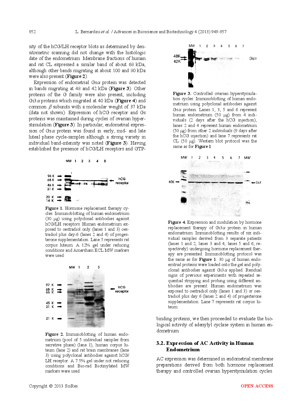 Failure Of hCG/LH Receptors To Stimulate The Transmembrane Effector Adenylyl Cyclase In Human Endometrium - Page 5