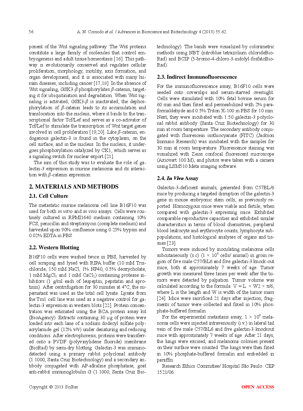 Galectin-3 Expression Favors Metastasis In Murine Melanoma - Page 3