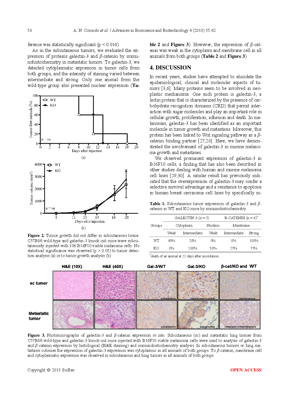 Galectin-3 Expression Favors Metastasis In Murine Melanoma - Page 5