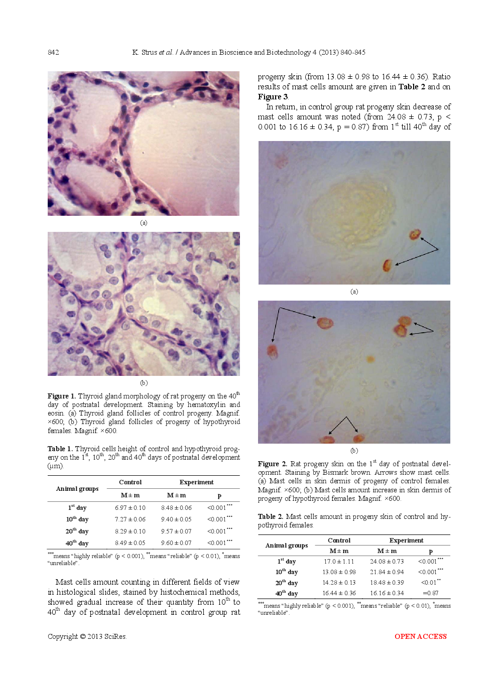 Influence Of Maternal Experimental Hypothyroidism On Quantitative-Qualitative Indicator Of Rat Progeny Skin Mast Cells In Age Aspect According To Histochemical Investigation Results And On The Base Of Lectins GNA And PNA Receptors Cytotopography - Page 4