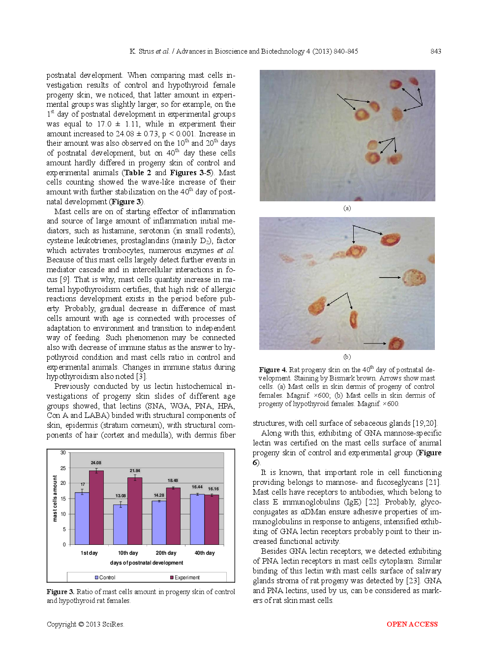 Influence Of Maternal Experimental Hypothyroidism On Quantitative-Qualitative Indicator Of Rat Progeny Skin Mast Cells In Age Aspect According To Histochemical Investigation Results And On The Base Of Lectins GNA And PNA Receptors Cytotopography - Page 5
