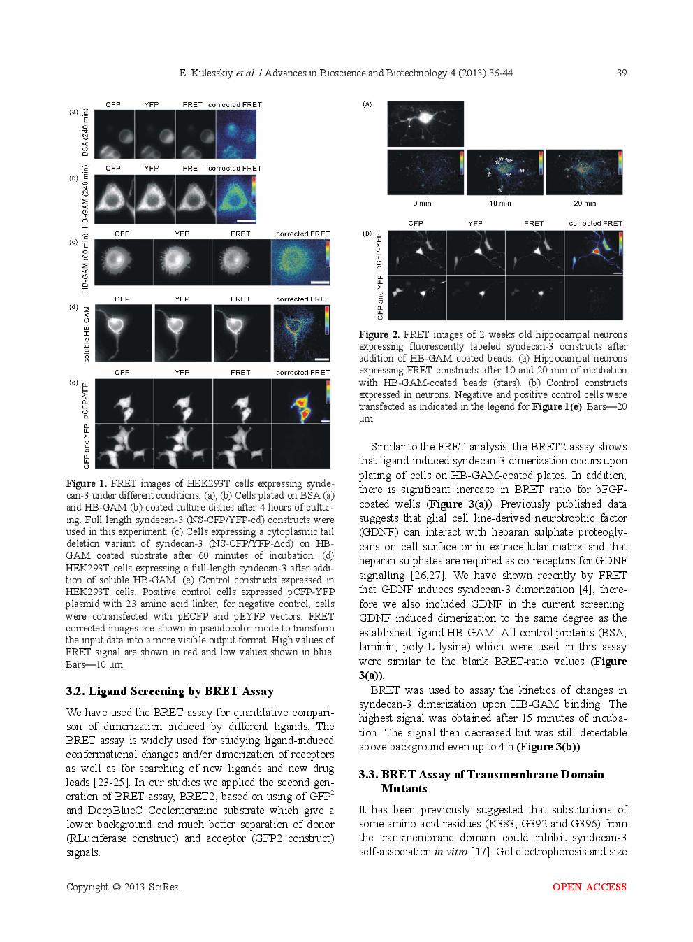 Ligand-Induced Dimerization Of Syndecan-3 At The Cell Surface - Page 5