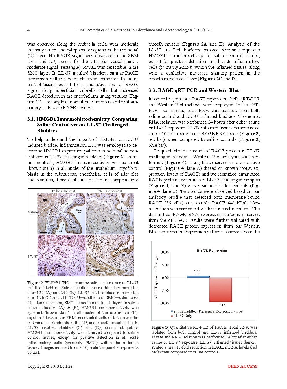 LL-37 induced Cystitis And The Receptor For Advanced Glycation End-Products (RAGE) Pathway - Page 5