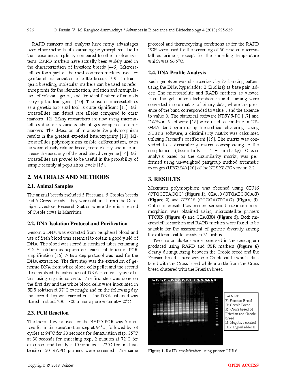 Molecular Studies On The Creole Cattle Breed In Mauritius - Page 3