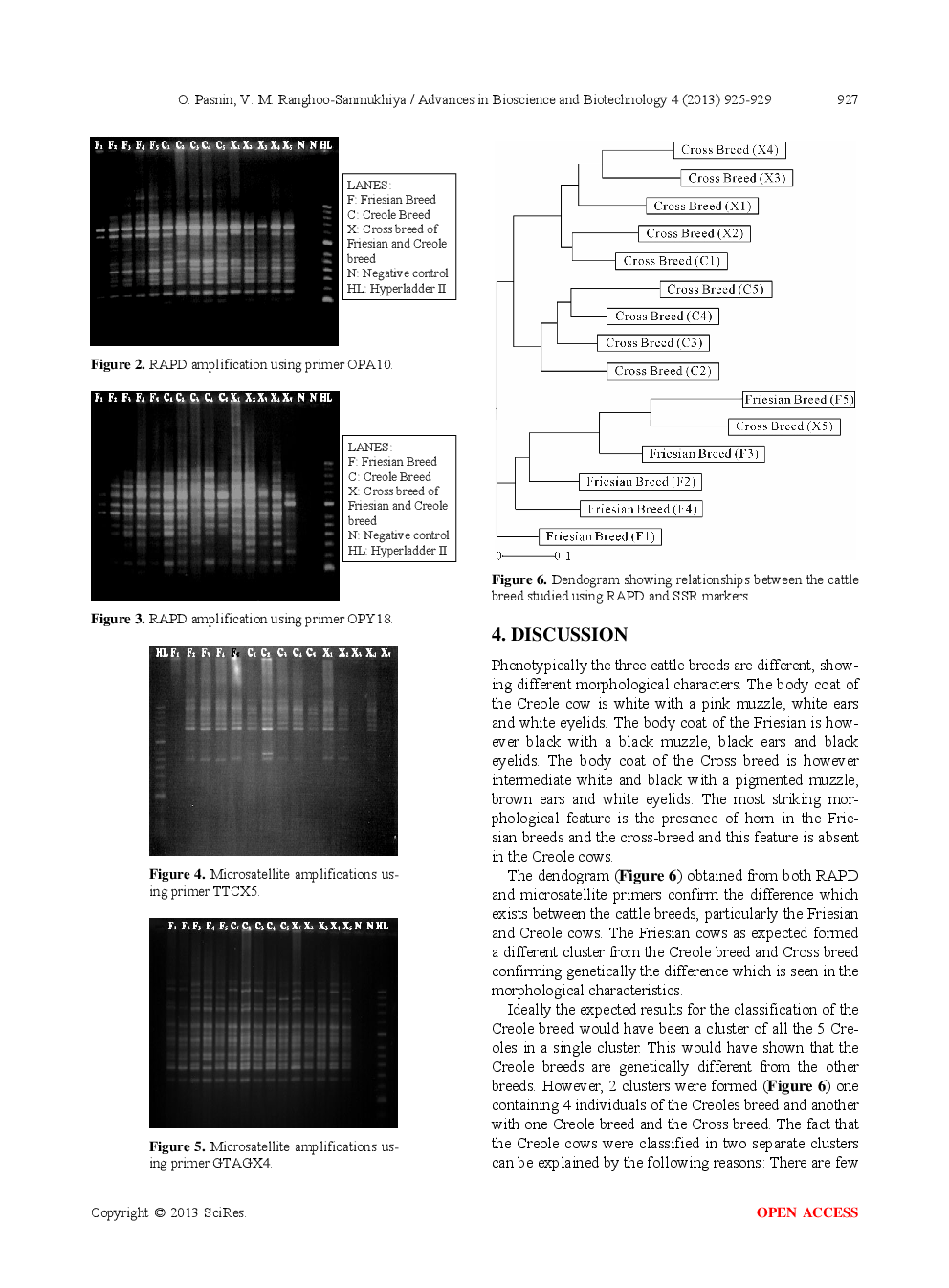 Molecular Studies On The Creole Cattle Breed In Mauritius - Page 4