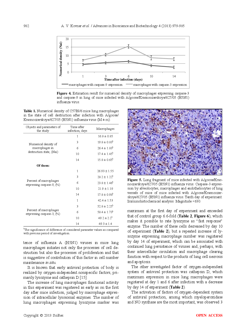 Morphofunctional Status And The Role Of Mononuclear Phagocyte System Lung Compartment In The Pathogenesis Of Influenza A (H5N1) In Mammals - Page 5