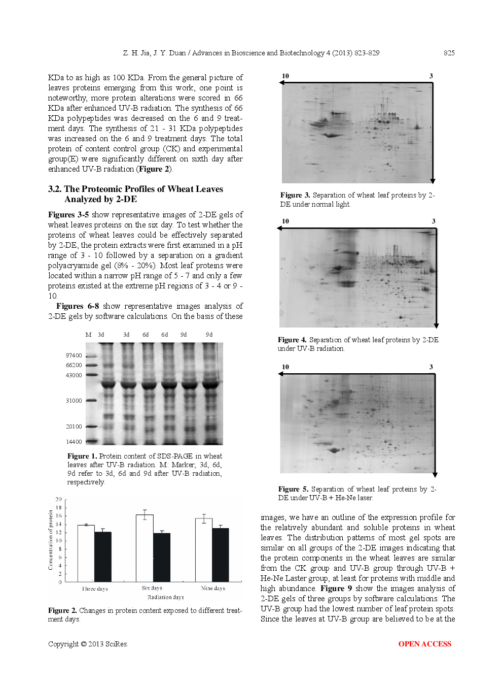 Protecting Effect Of He-Ne Laser On Winter Wheat From UV-B Radiation Damage By Analyzing Proteomic Changes In Leaves - Page 4