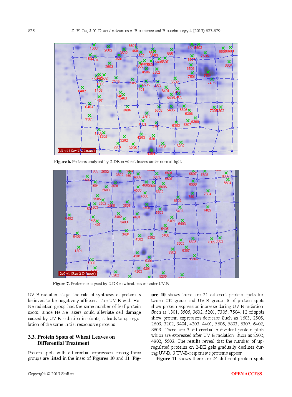 Protecting Effect Of He-Ne Laser On Winter Wheat From UV-B Radiation Damage By Analyzing Proteomic Changes In Leaves - Page 5