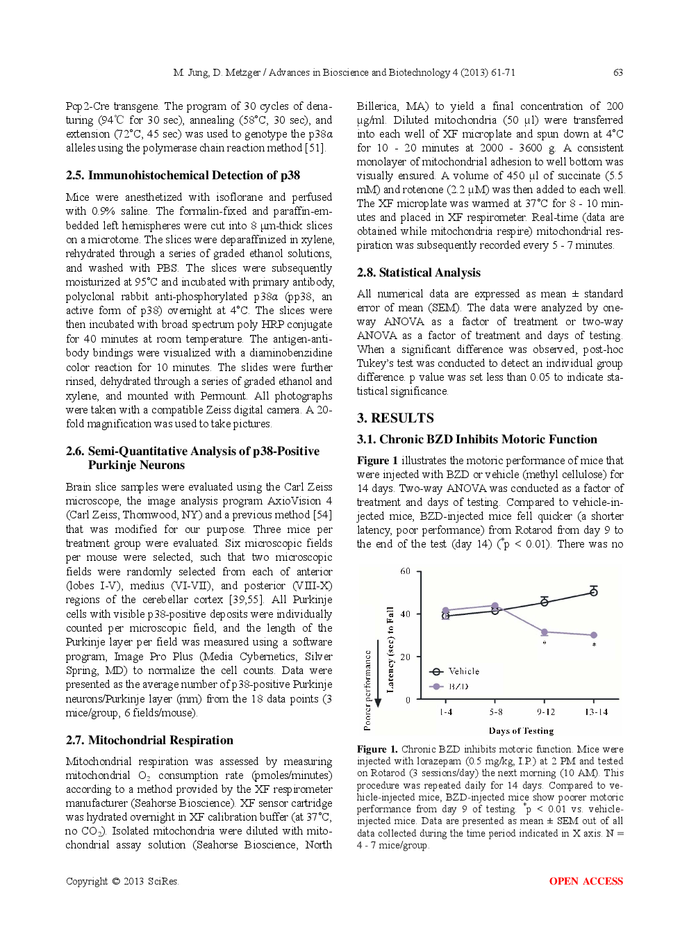 Purkinje-Neuron-Specific Down-Regulation Of P38 Protects Motoric Function From The Repeated Use Of Benzodiazepine - Page 4