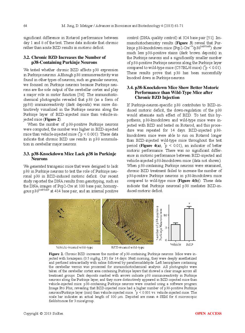 Purkinje-Neuron-Specific Down-Regulation Of P38 Protects Motoric Function From The Repeated Use Of Benzodiazepine - Page 5