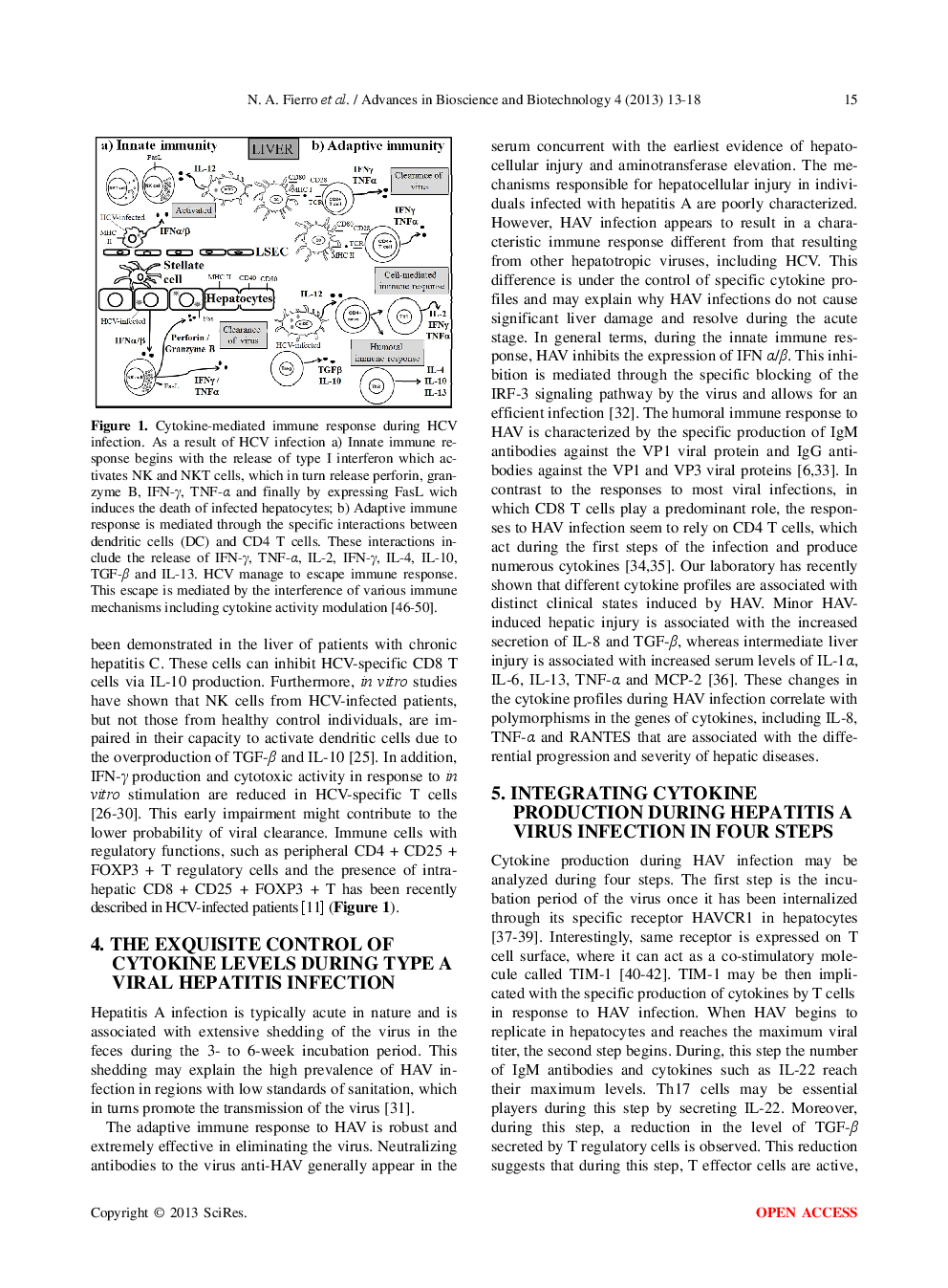Rethinking Cytokine Function During Hepatitis A And Hepatitis C Infections - Page 4