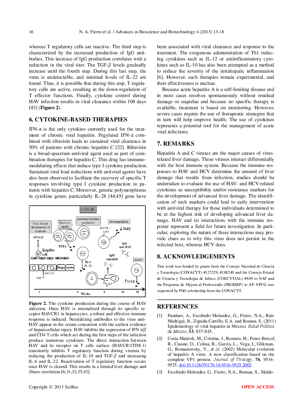 Rethinking Cytokine Function During Hepatitis A And Hepatitis C Infections - Page 5