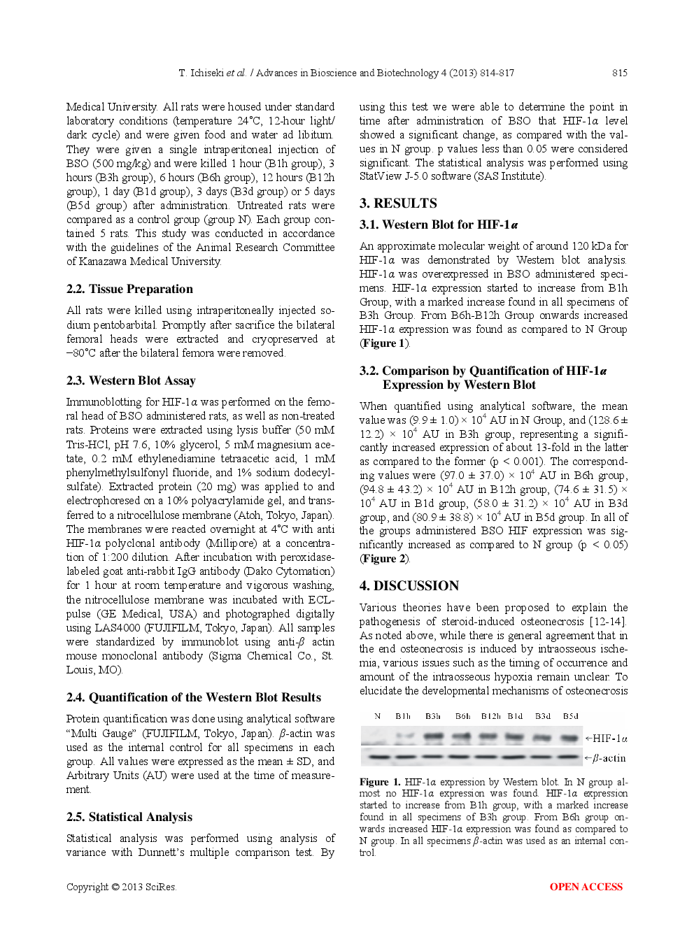 The Timing And Extent Of Intraosseous Hypoxia In The Oxidative Stress-Induced Rat Osteonecrosis Model - Page 3