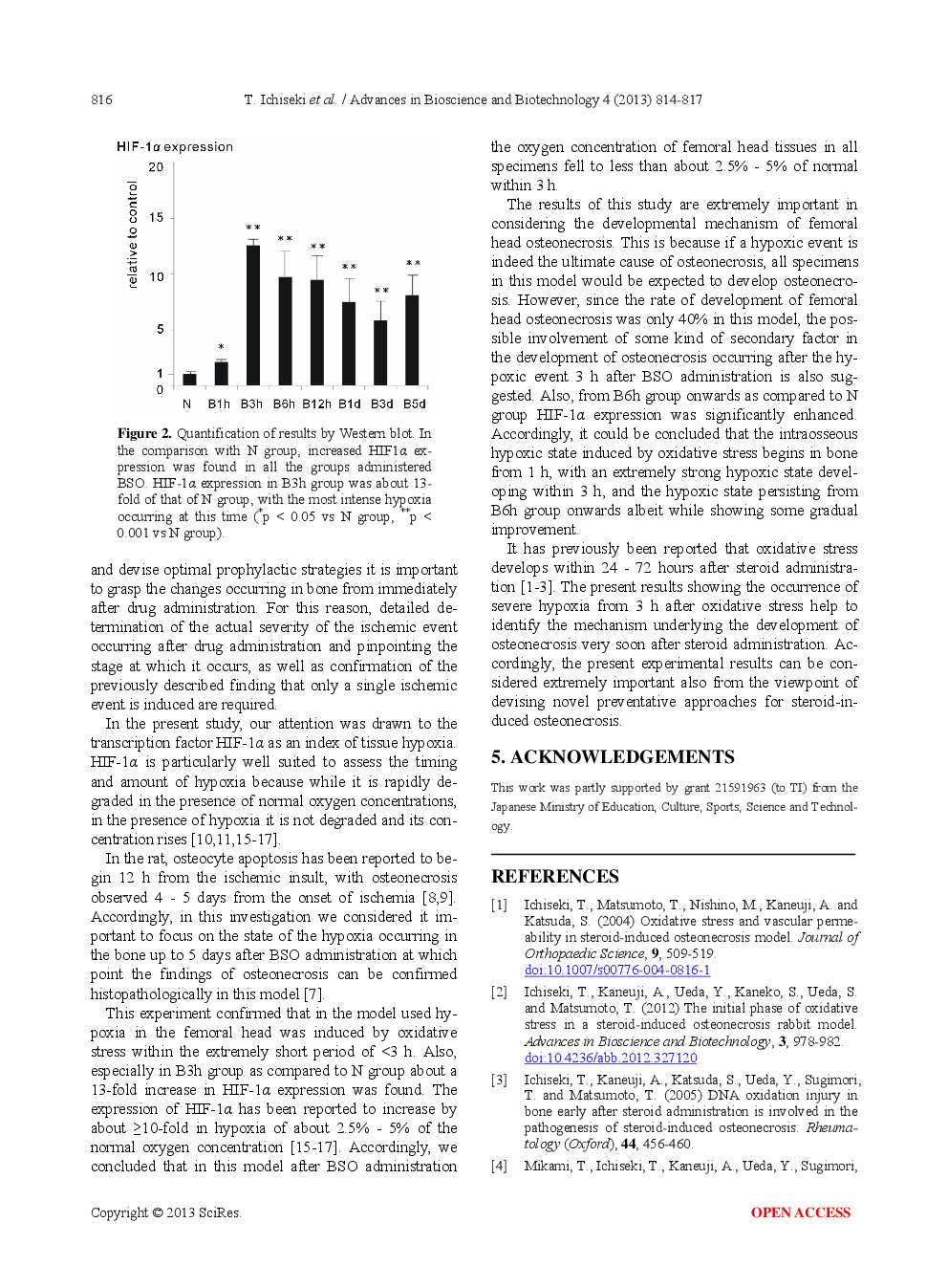 The Timing And Extent Of Intraosseous Hypoxia In The Oxidative Stress-Induced Rat Osteonecrosis Model - Page 4