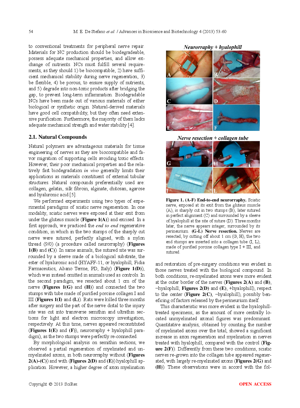 Therapeutic Approaches Enhancing Peripheral Nerve Regeneration - Page 3