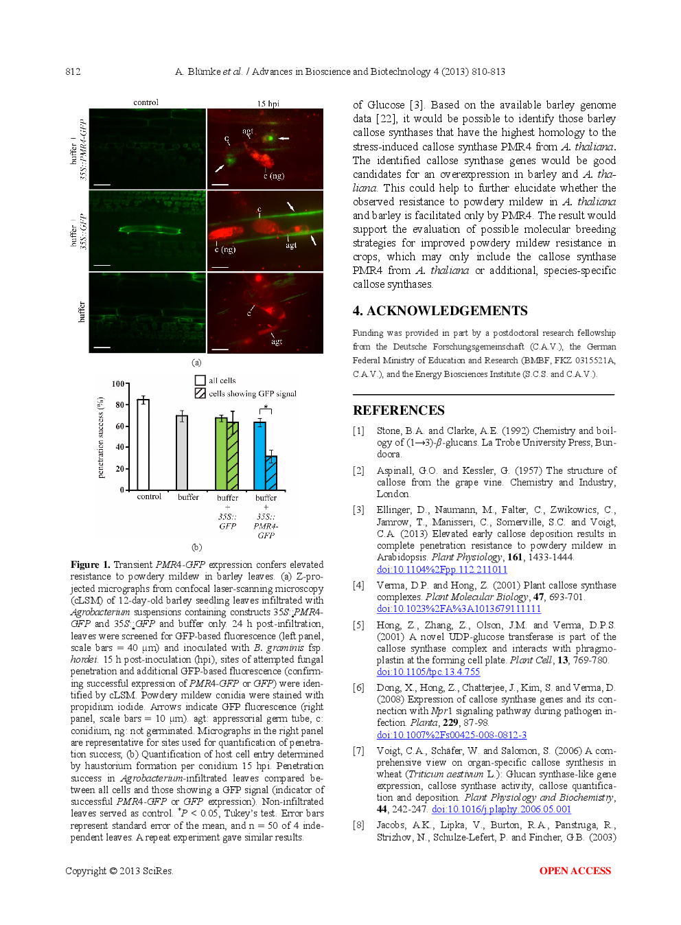 Transient Expression Of The Arabidopsis Thaliana Callose Synthase PMR4 Increases Penetration Resistance To Powdery Mildew In Barley - Page 4