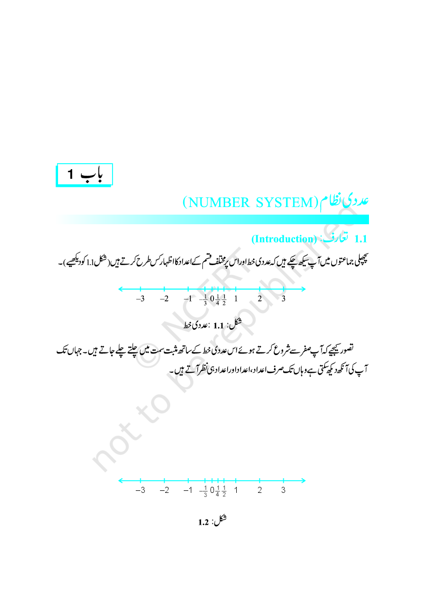 NCERT Book Riyazi For Class IX (Urdu) - Page 2