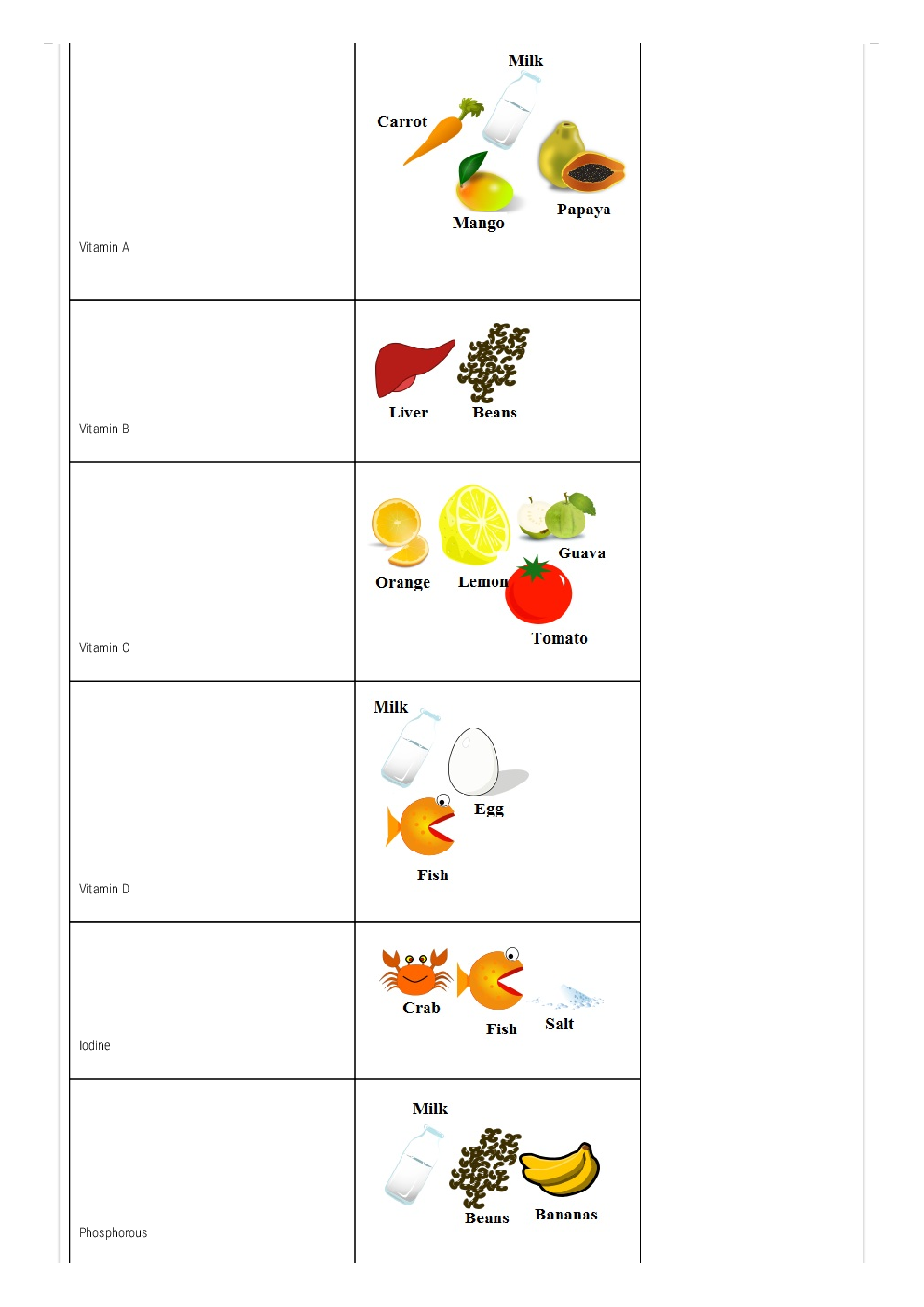 NCERT Notes Biology For Class VII - Page 3
