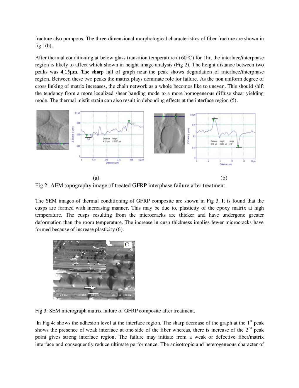 A Study On Fibermatrix Contour And Interfaceinterphase Integrity By SEM And AFM Techniques - Page 4