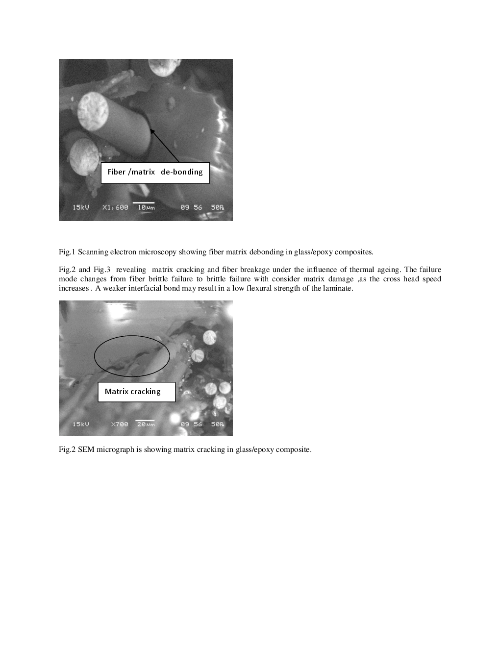 Loading Rate Sensitivity Of Fibrous Composite Materials - Page 4