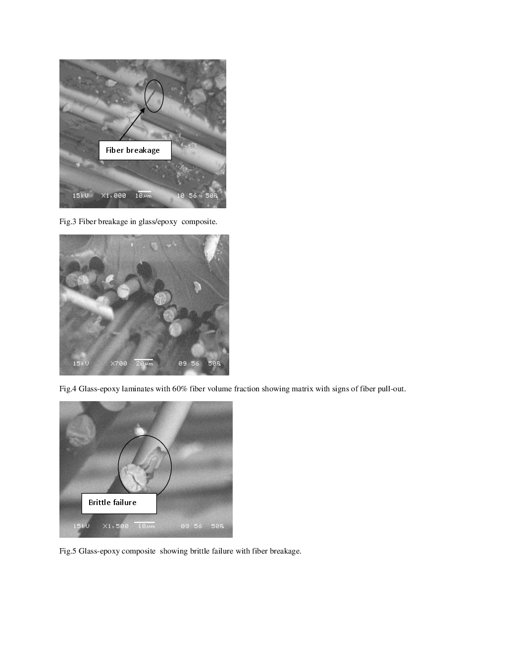 Loading Rate Sensitivity Of Fibrous Composite Materials - Page 5