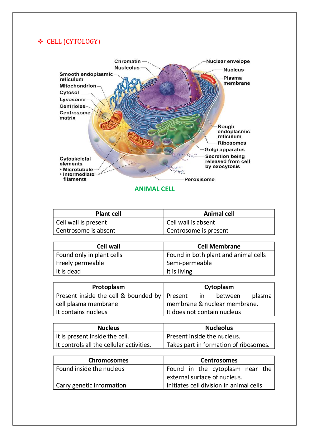 Biology Capsule & Study Material - Page 3