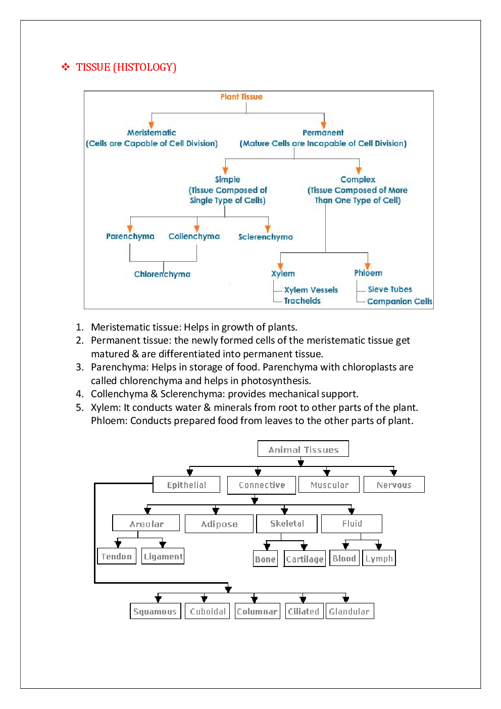 Biology Capsule & Study Material - Page 5