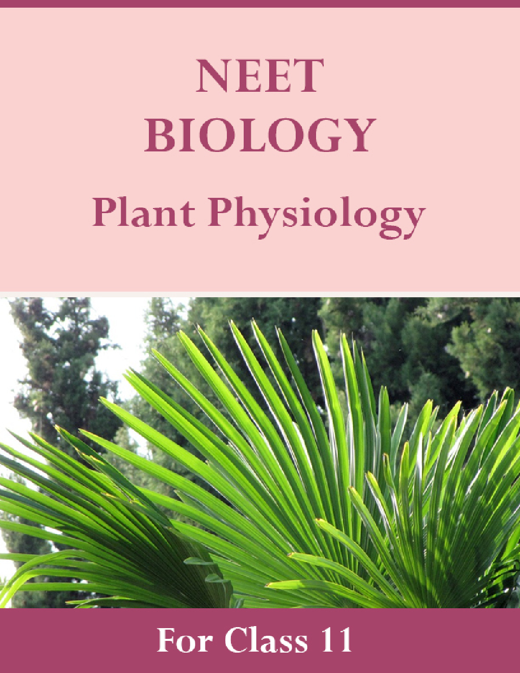 NEET Biology For Class 11 (Plant Physiology) - Page 1