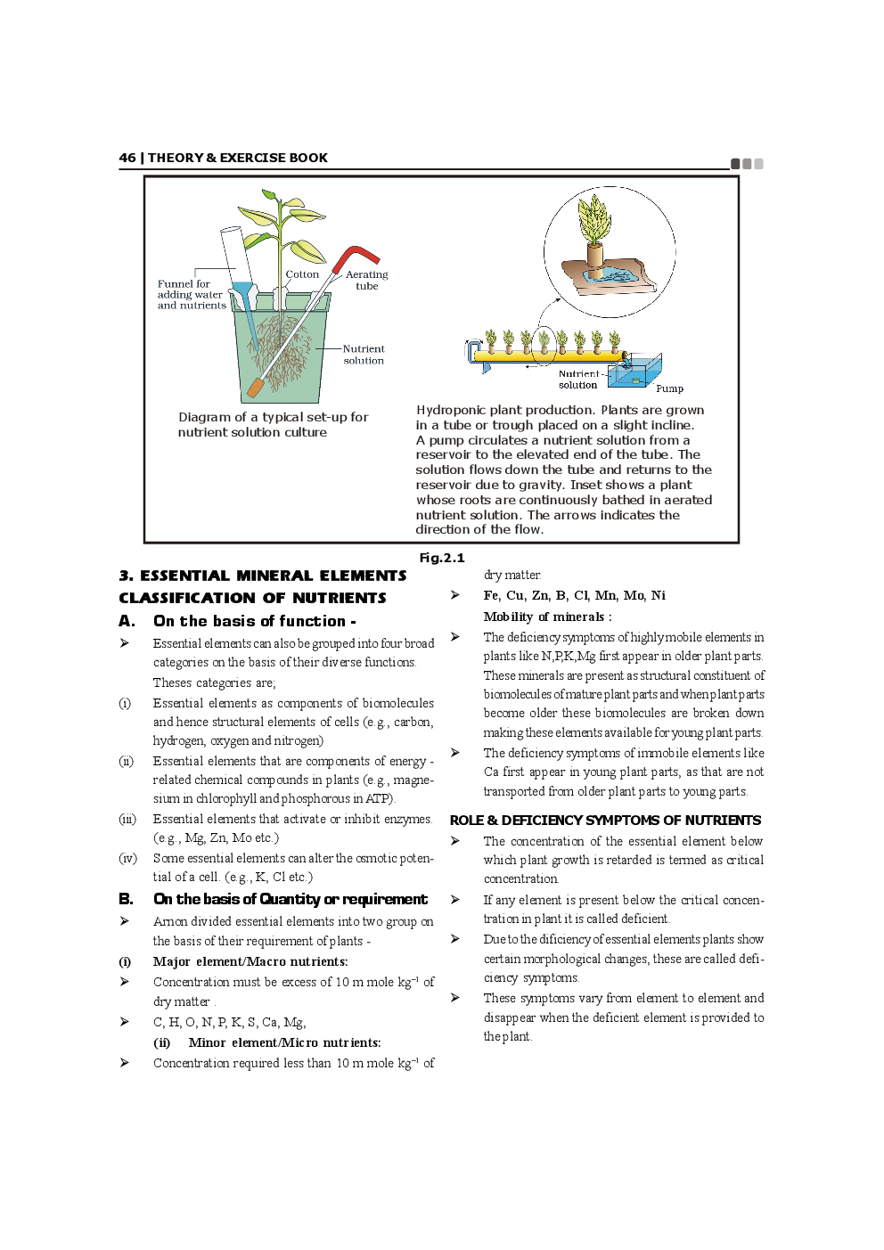 NEET Biology For Class 11 (Plant Physiology) - Page 5