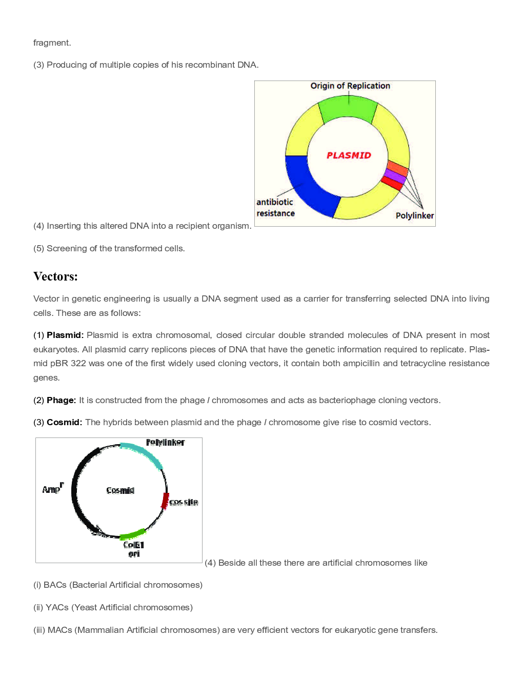 Biology Biotechnology Revision Notes & Solved Examples - Page 4