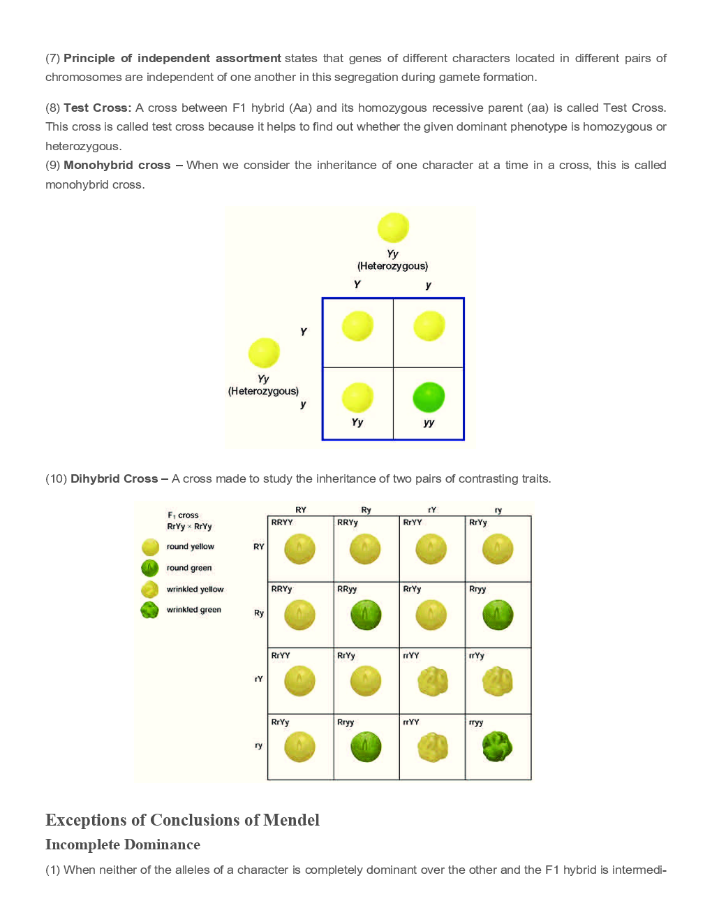 Biology Genetics & Evolution Revision Notes & Solved Examples - Page 3