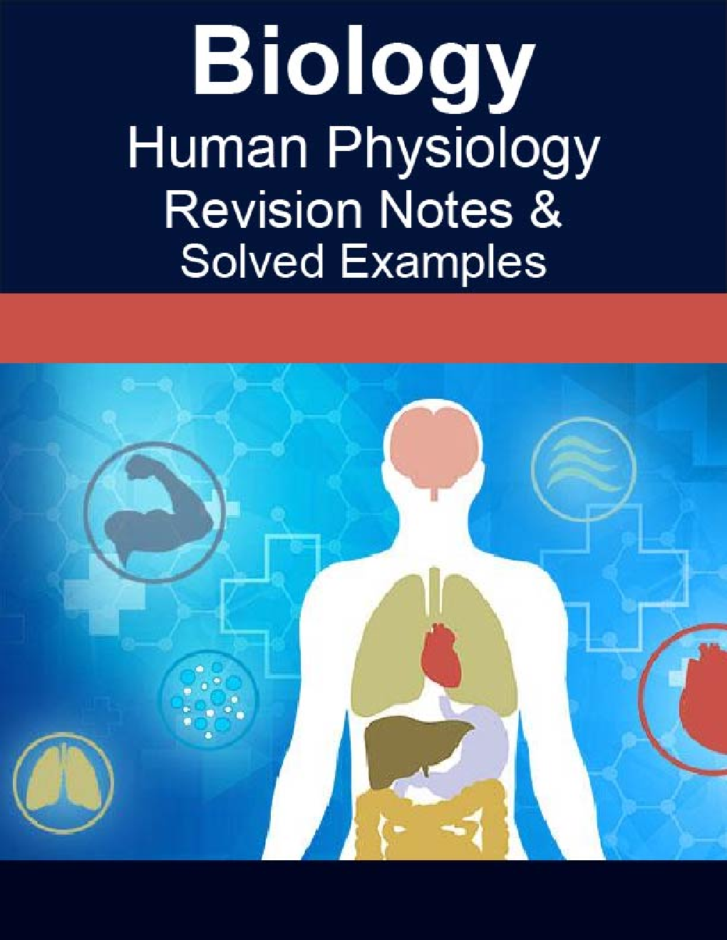 Biology Human Physiology Revision Notes & Solved Examples - Page 1
