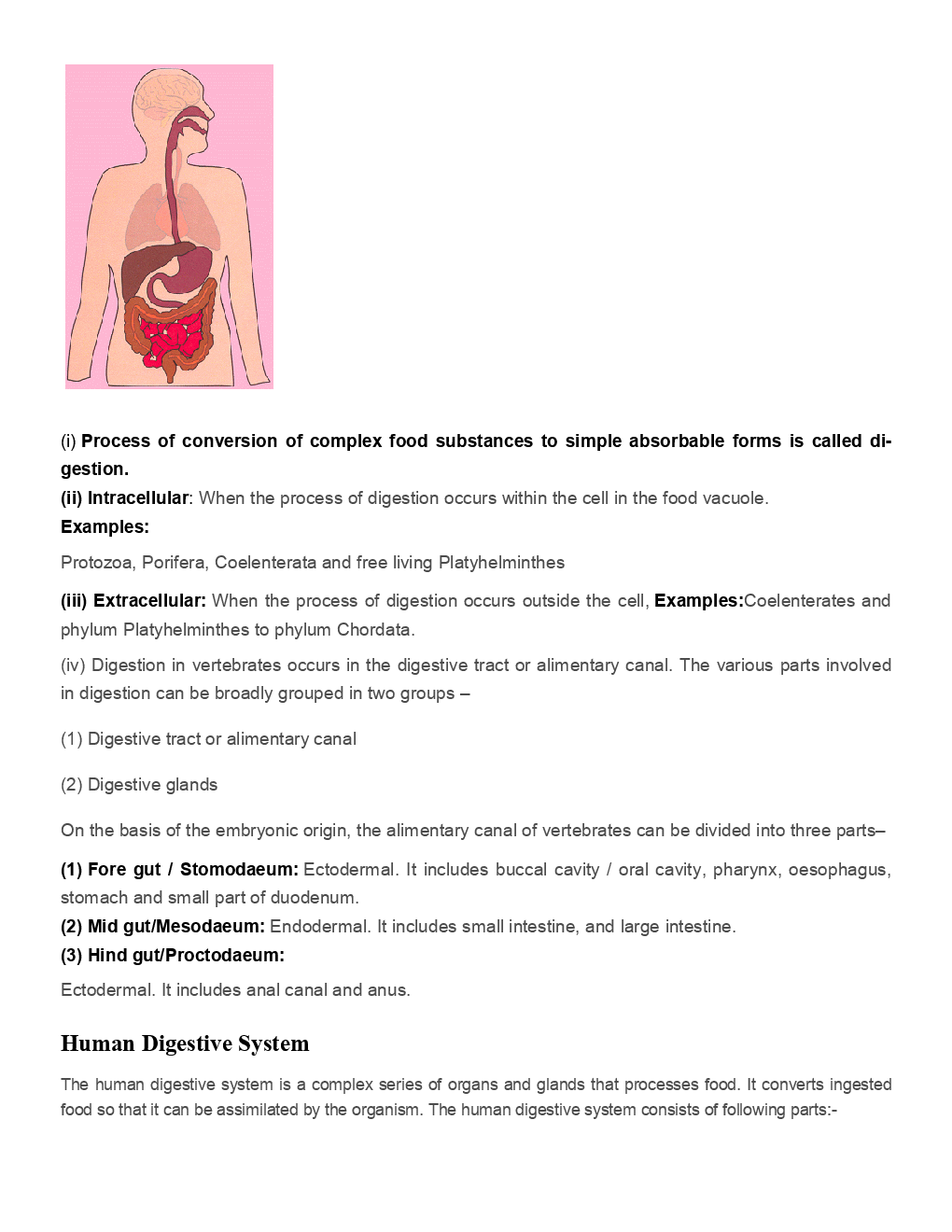 Biology Human Physiology Revision Notes & Solved Examples - Page 3
