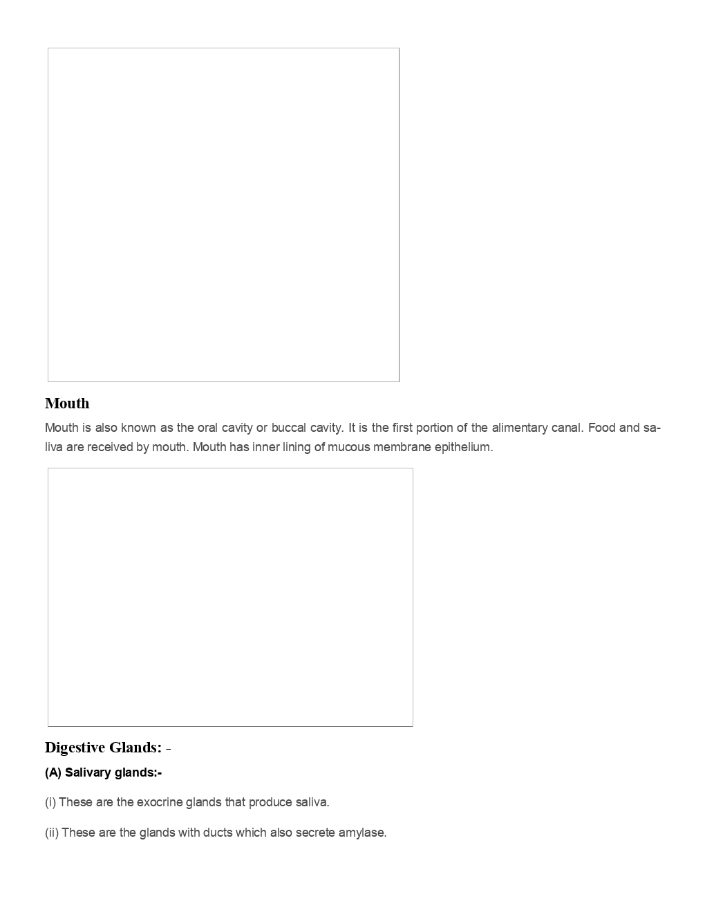 Biology Human Physiology Revision Notes & Solved Examples - Page 4