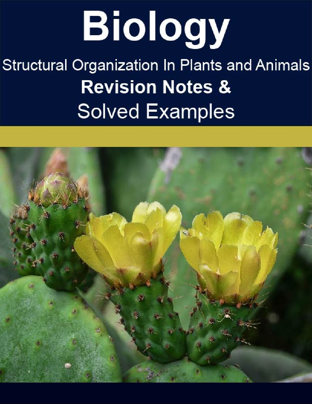 Biology Structural Organization In Plants And Animals Revision Notes & Solved Examples - Page 1