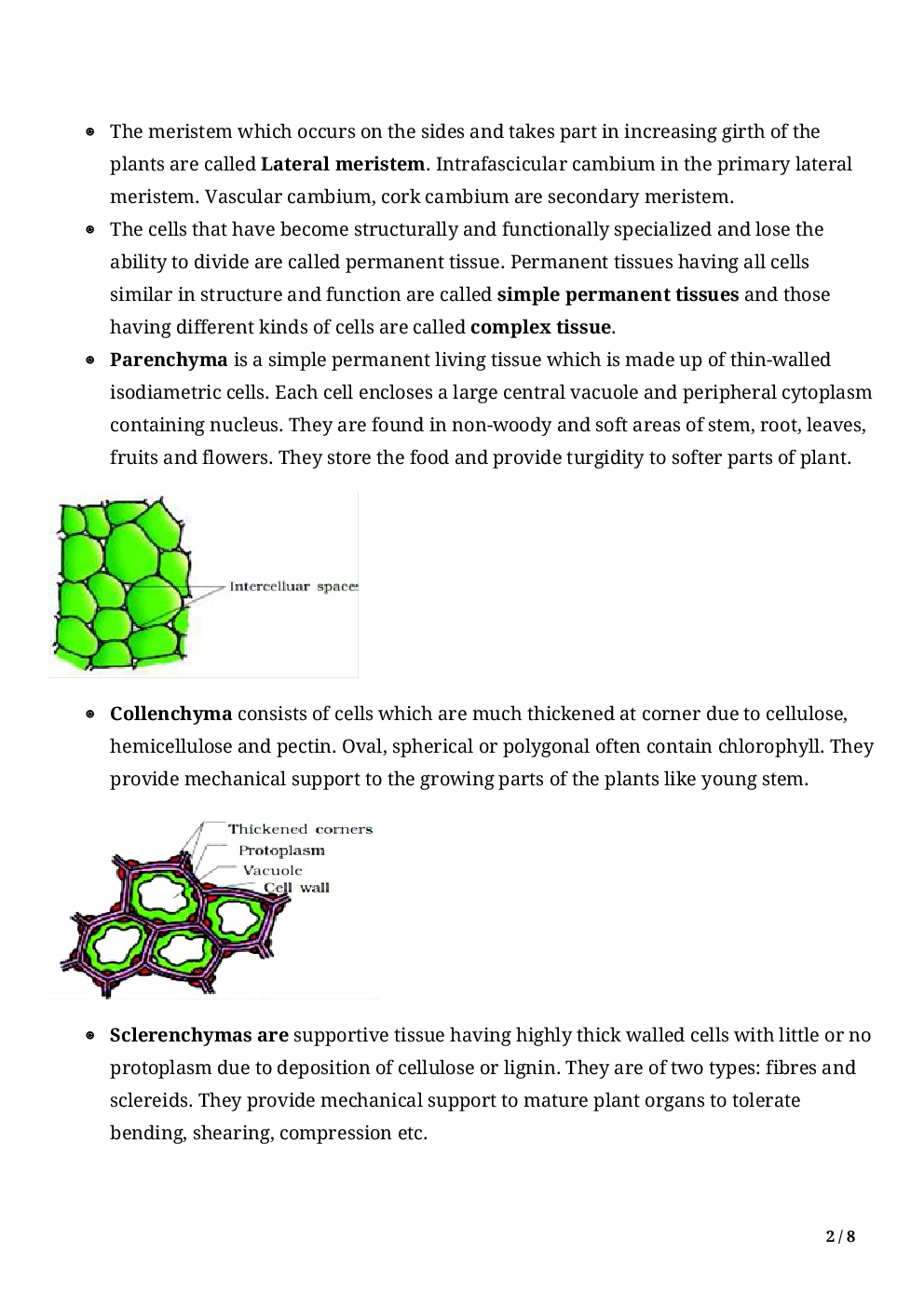 Biology-Anatomy Of Flowering Plants Class11 - Page 4