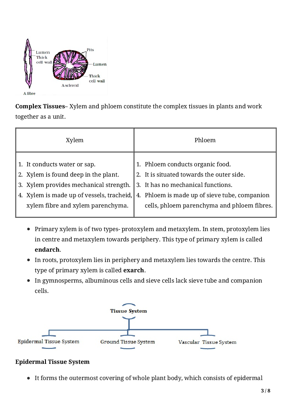 Biology-Anatomy Of Flowering Plants Class11 - Page 5