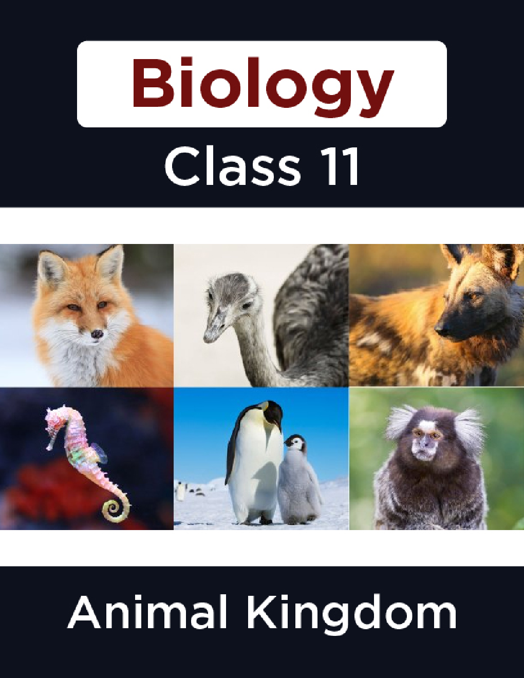 Biology-Animal Kingdom  Class11 - Page 1