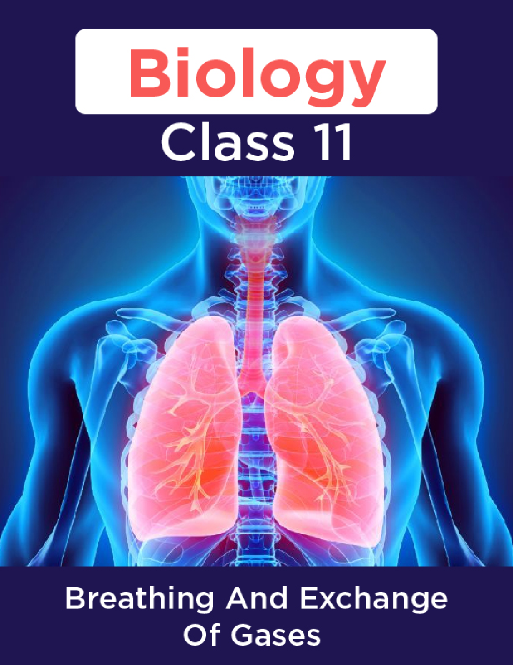 Biology-Breathing And Exchange Of Gases Class11 - Page 1