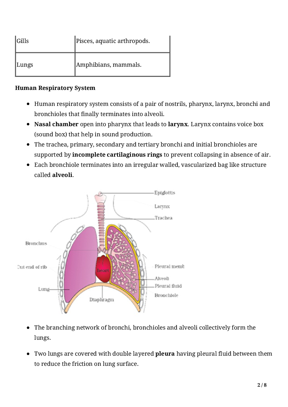 Biology-Breathing And Exchange Of Gases Class11 - Page 4