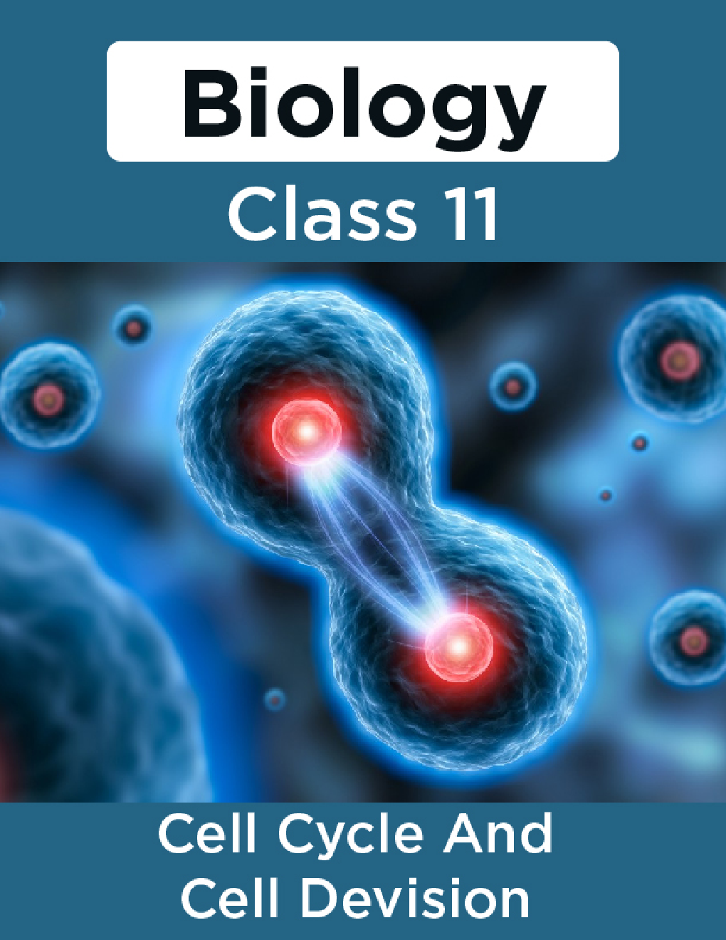 Biology-Cell Cycle And Cell Devision Class11 - Page 1