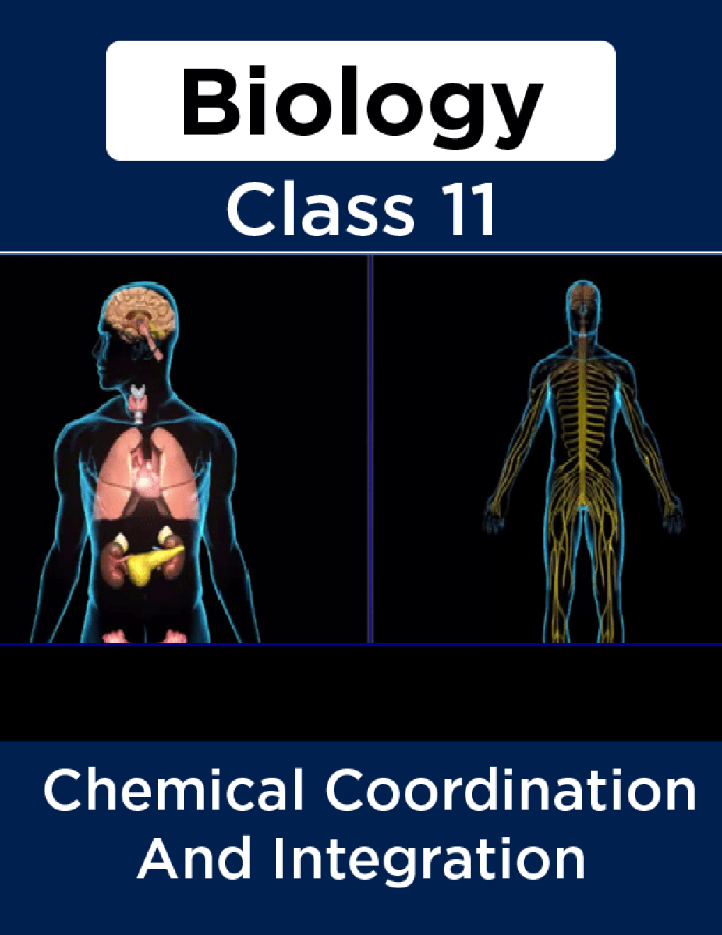 Biology-Chemical Coordination And Integration Class11 - Page 1