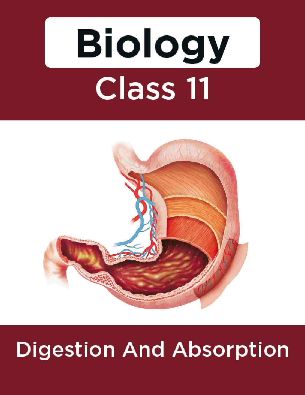 Biology-Digestion And Absorption Class11 - Page 1